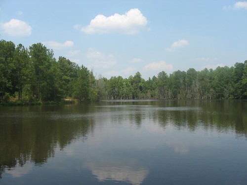 1471 Ponderosa, Cassatt, SC, 29032, USA