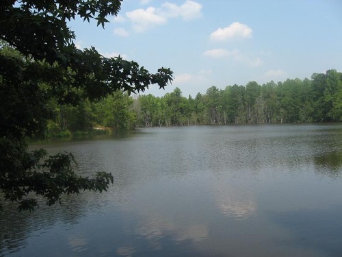 1471 Ponderosa, Cassatt, SC, 29032, USA